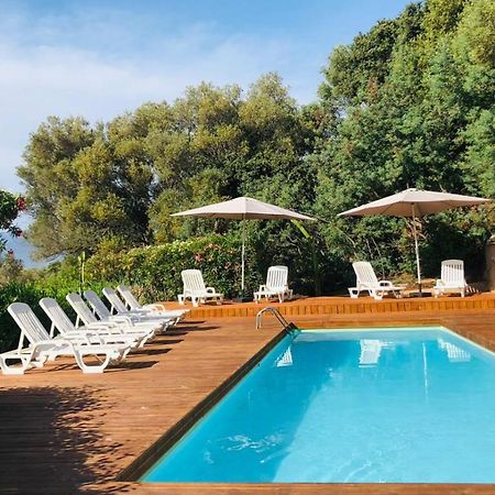 Camping Monte Ortu By Corsica Paradise Hotel Lumio  Exterior foto